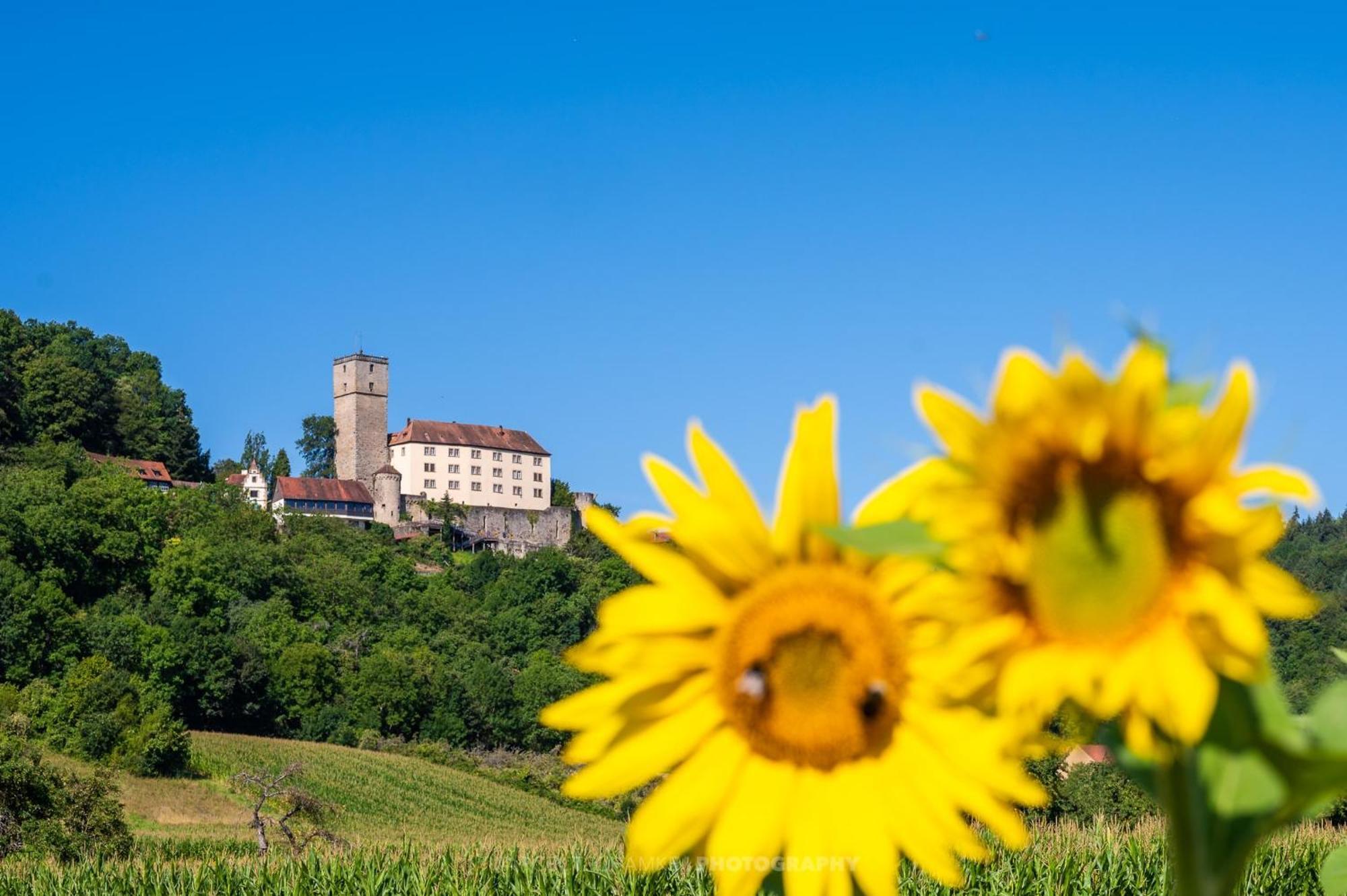 Вилла Wohnen Auf Der Ritterburg Хасмерсхайм Экстерьер фото
