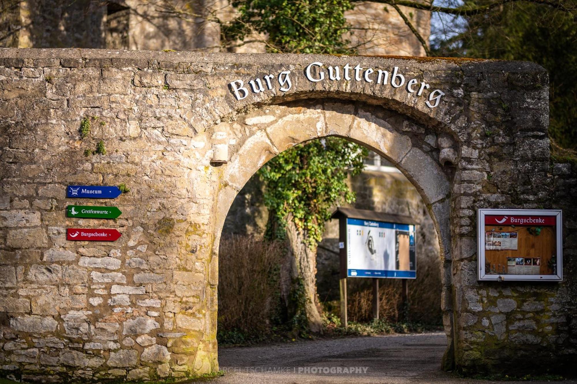 Вилла Wohnen Auf Der Ritterburg Хасмерсхайм Экстерьер фото